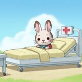 うさぎの皮膚疾患