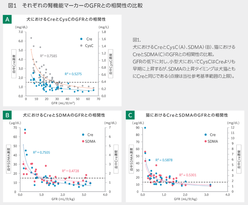 腎機能マーカーとGFR相関性